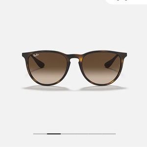 Ray Ban Erika Classic Sunglasses